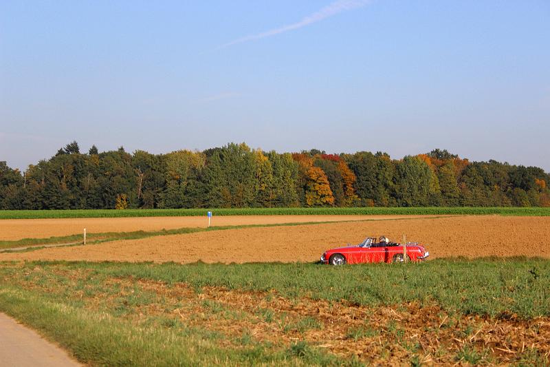 Follow the Leader-Herfstrit op 11-10-2015 - org. Jos en Marie-lou (196).jpg